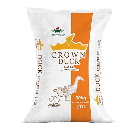 Crown Duck Layer