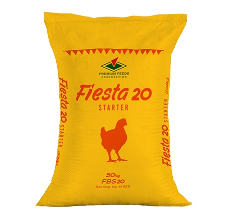 Fiesta 20 Starter