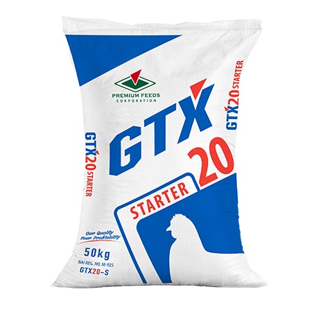 GTX 20 Starter