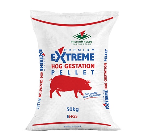 Extreme Hog Gestation